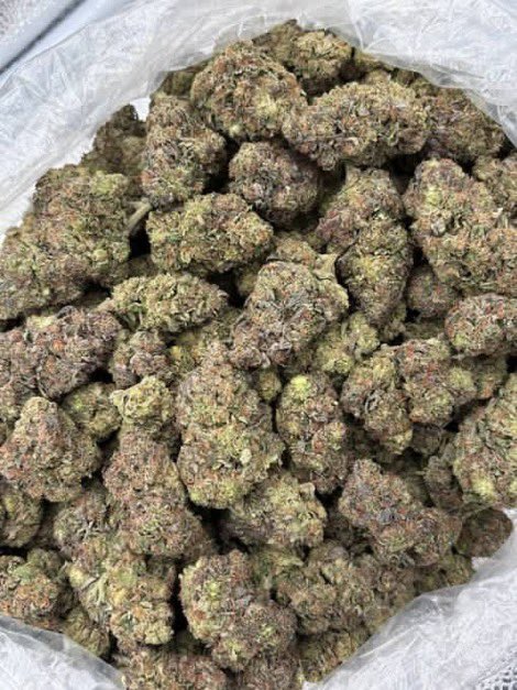 JoskyDs's tweet photo. Weed Bath, Bristol, Clifton, Redland, Cotham, Hotwells, Bedminster, Southville, Totterdown, Knowle, Brislington, St George, Easton, St Paul’s, Montpelier, Stokes Croft, Gloucester Road, Bishopston, Westbury-on-Trym, Henleaze, Westbury Park, Redland Green, Clifton Down https://t.co/hm86Y8hxz9
