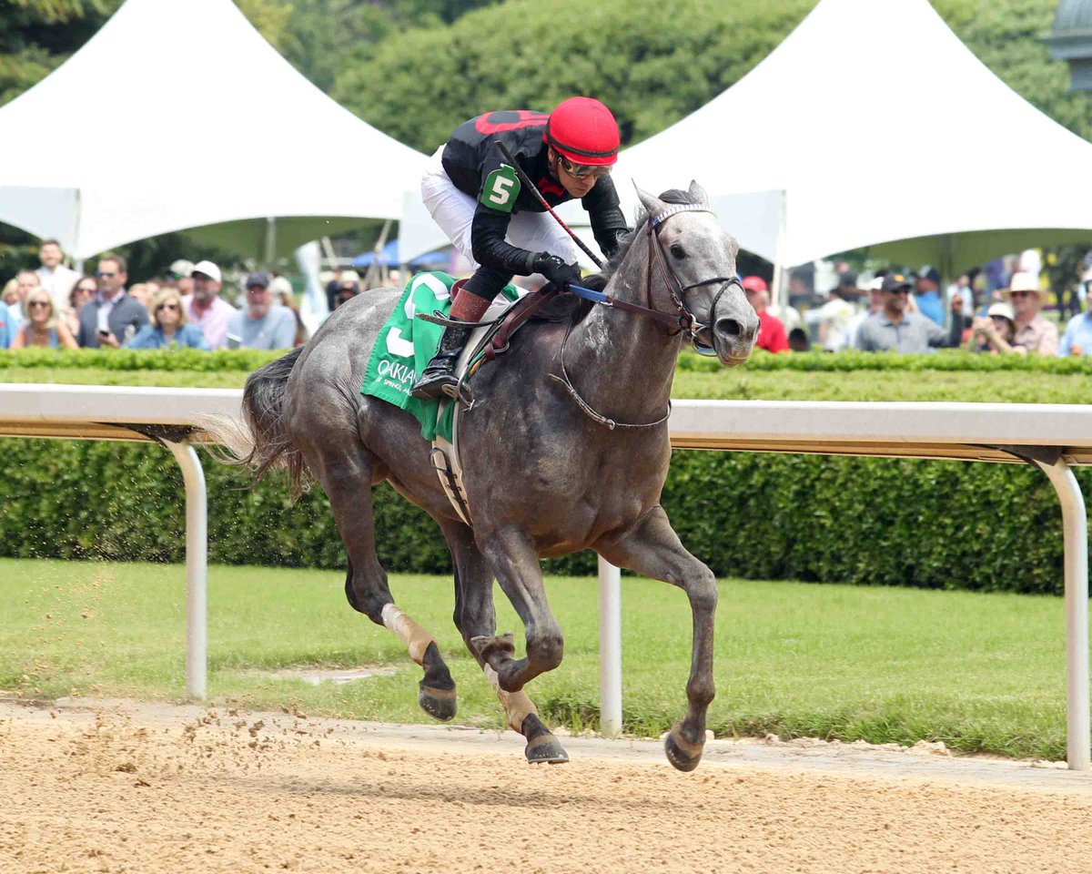 OaklawnRacing's tweet photo. Oaklawn allowance winner J J Grey puts a three-race winning streak on the line as he seeks his fourth consecutive victory and first graded stakes triumph in today's Grade 3 $400,000 West Virginia Derby at Mountaineer Park.
Can J J Grey keep the momentum rolling? Best of luck to all the connections!