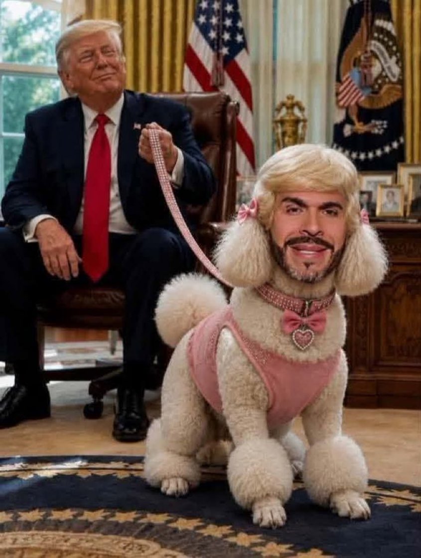 HELIODOPTERO's tweet photo. El pederasta y mafioso tiene nuevo perro. https://t.co/JjXTeqEpls