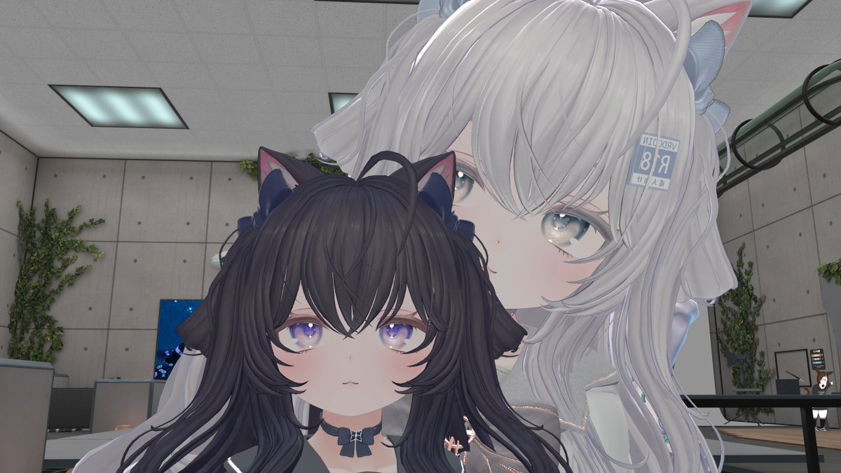 mokyuta_2525's tweet photo. 双子ちゃんになりました((
黙ってればとてもかわいいw https://t.co/JwEWUpQI71
