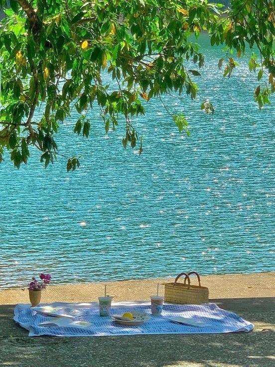 Worldviewes51's tweet photo. picnic by the lake https://t.co/3fFGeRy6O7