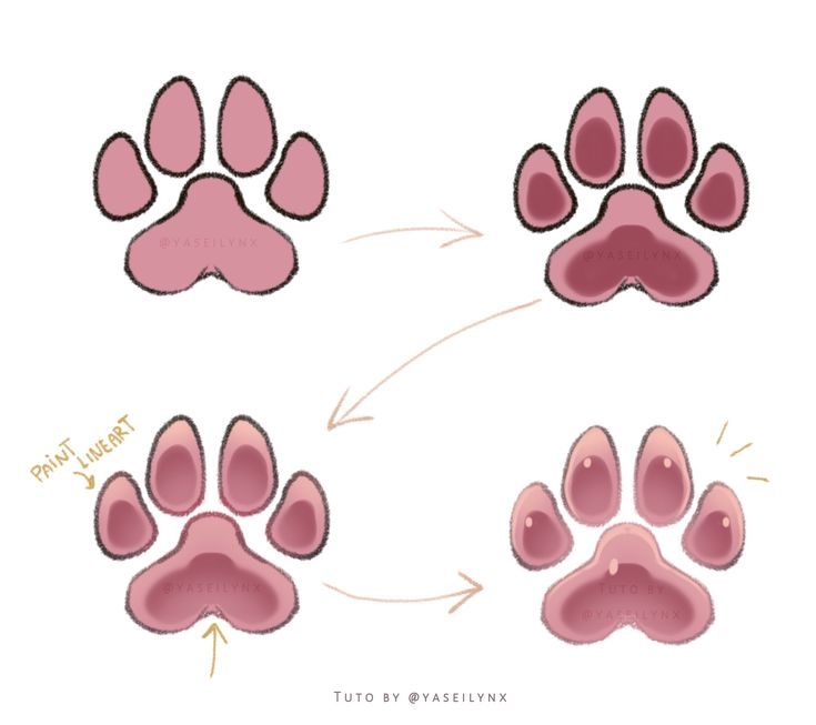 R3nderLab's tweet photo. Start with the base color, add inner shadows, then finish with soft highlights and lighter lineart https://t.co/Mj7JYO3UWo