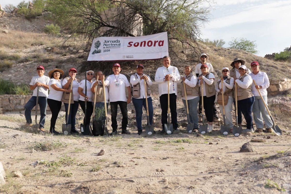 OctavioAlmada1's tweet photo. 🌱🌵 Desde el Cerro de la Cementera, en Hermosillo, nos sumamos a la #JornadaNacionalDeReforestación 2026, convocada por nuestra 🇲🇽 PresidentA @Claudiashein.

En coordinación con el gobernador Alfonso Durazo Montaño y de la subsecretaria de Regulación Ambiental, Ileana Villalobos Estrada, junto a instituciones, sembradoras, sembradores, servidores de la nación y personas voluntarias, reforestamos dos hectáreas con especies nativas de Sonora. 🌳

Nuestro reconocimiento amplio a todas y todos los que participaron. Cada árbol que plantamos representa esperanza y futuro para las nuevas generaciones. Cuidar la naturaleza también es construir bienestar.

Un agradecimiento especial a las y los servidores de la nación por su compromiso, entrega y disposición para servir siempre al pueblo

Como decía José Martí: “Debiera exigirse a cada hombre, como título a gozar de derechos públicos, que hubiera plantado cierto número de árboles”. 🌱

El poder solo tiene sentido cuando se pone al servicio de los demás. 🙌🏻

#PorElBienDeTodosPrimeroLosPobres