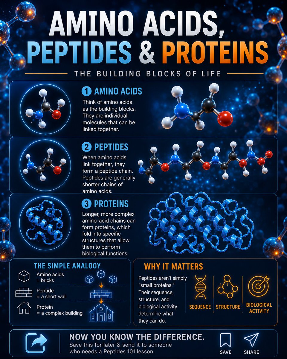 20_Aminos's tweet photo. The building blocks of proteins, simplified.

Single units ➝ short chains ➝ complex, folded structures that carry out biological functions.

Sequence + shape = function.

Save &amp; share with someone who needs the 101.

#science #educational #research https://t.co/aH6CC4EeZJ