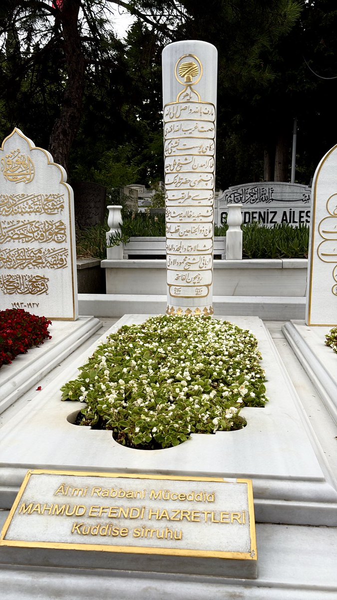 emrebiricikk's tweet photo. Ben yine sana geldim Sultanım 🌹 https://t.co/EZUh6rKF4Q