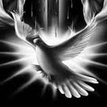 Merciful14harp's tweet photo. The Comforter. The Spirit will guide you into all truth who loves you. ❤️❤️ https://t.co/DLmQJF8tP6