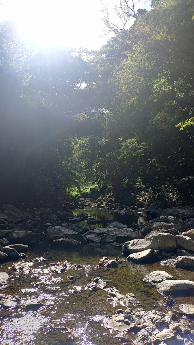 rambletomtom's tweet photo. 続・相棒探訪記 https://t.co/x2L5Ee5Zwx