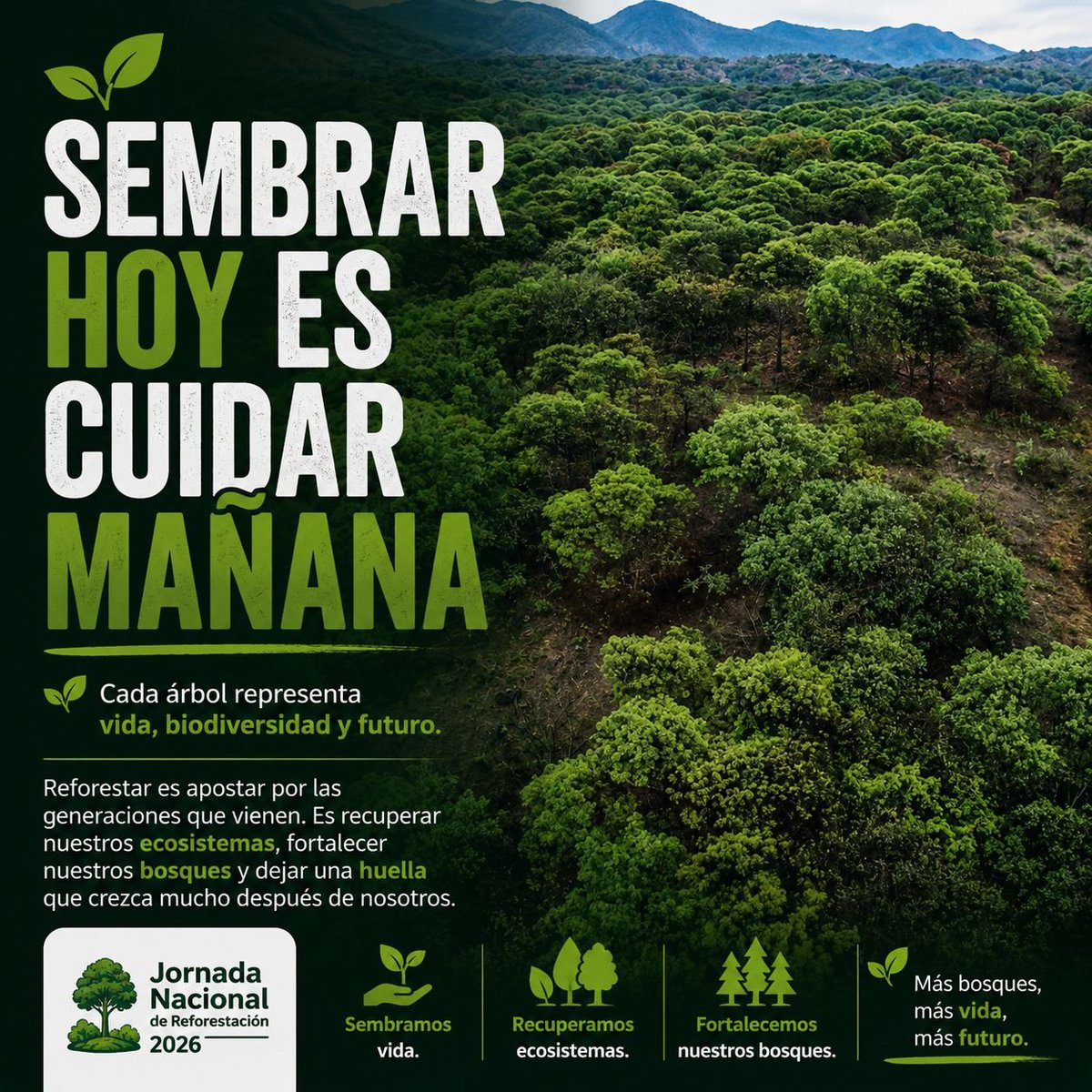 CrespoDayma's tweet photo. Reforestar es una acción que genera beneficios ambientales, sociales y comunitarios para todo el país. #JornadaNacionalDeReforestación https://t.co/3Nz5Vmf9ya