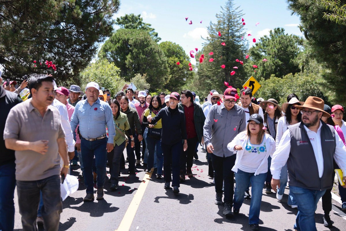 Hacienda_Mexico's tweet photo. El trabajo conjunto entre ciudadanía y gobierno permite avanzar hacia un desarrollo más sostenible. Este domingo, la restauración llegará a las 32 entidades de nuestro país.

#JornadaNacionalDeReforestación https://t.co/9lAKnituTj