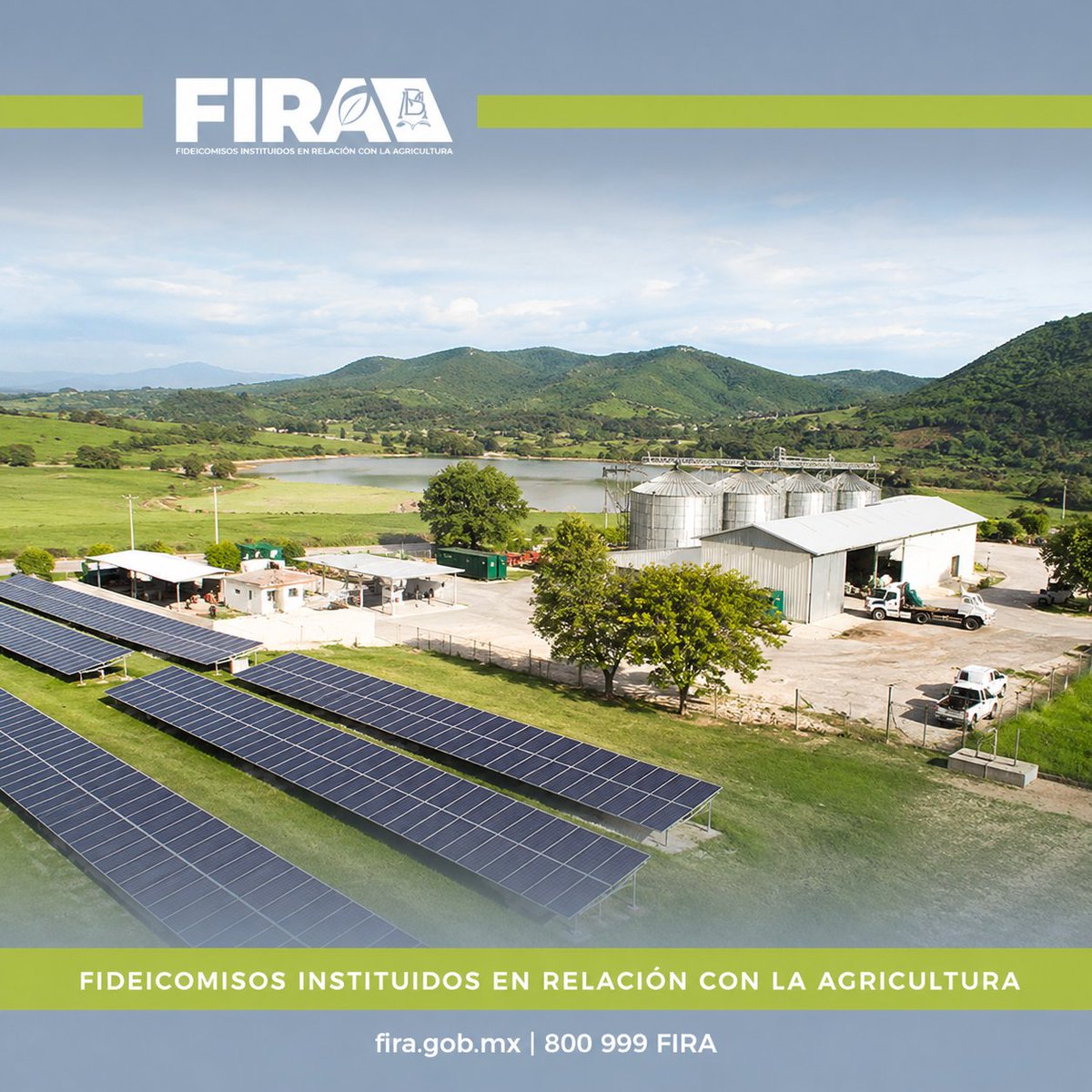 FIRA_Mexico's tweet photo. La sostenibilidad es uno de los objetivos prioritarios de FIRA para impulsar un sector agroalimentario más responsable, resiliente y productivo. 

https://t.co/mXCMcVGmfT 

#FIRAContigo https://t.co/32dnpBKeOZ
