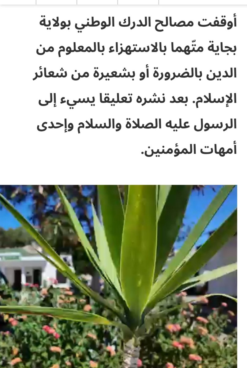 FarahHozn's tweet photo. أخيرا... إعادة التربية والتاعيل بإرسال كل من يتطاول على المباديء التي تضمنها الظستور، الى ثلث خالي وخليهم ينقو الرمل ويستخرجوا الصخور، وينظفو الرمال من الاحجار وتشجير... ماعدا ذالك  هوما وعصابات الآحياء ماعدا ذالك راكم تعيو في رواحكم https://t.co/wcuwvACUX4