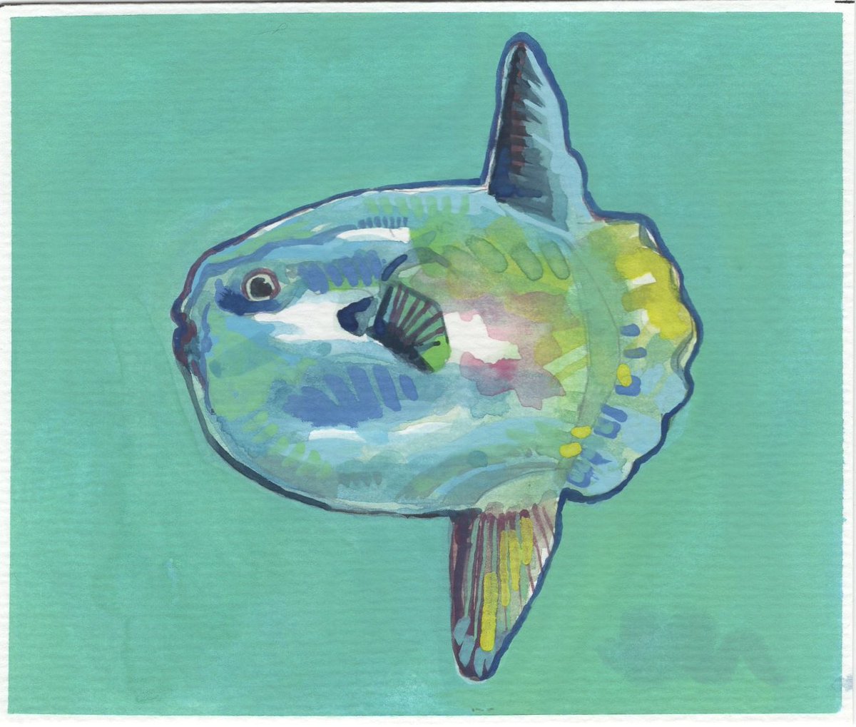 Trzustco's tweet photo. little sunfish someone gunpointed me to do https://t.co/iuaoWENOvt