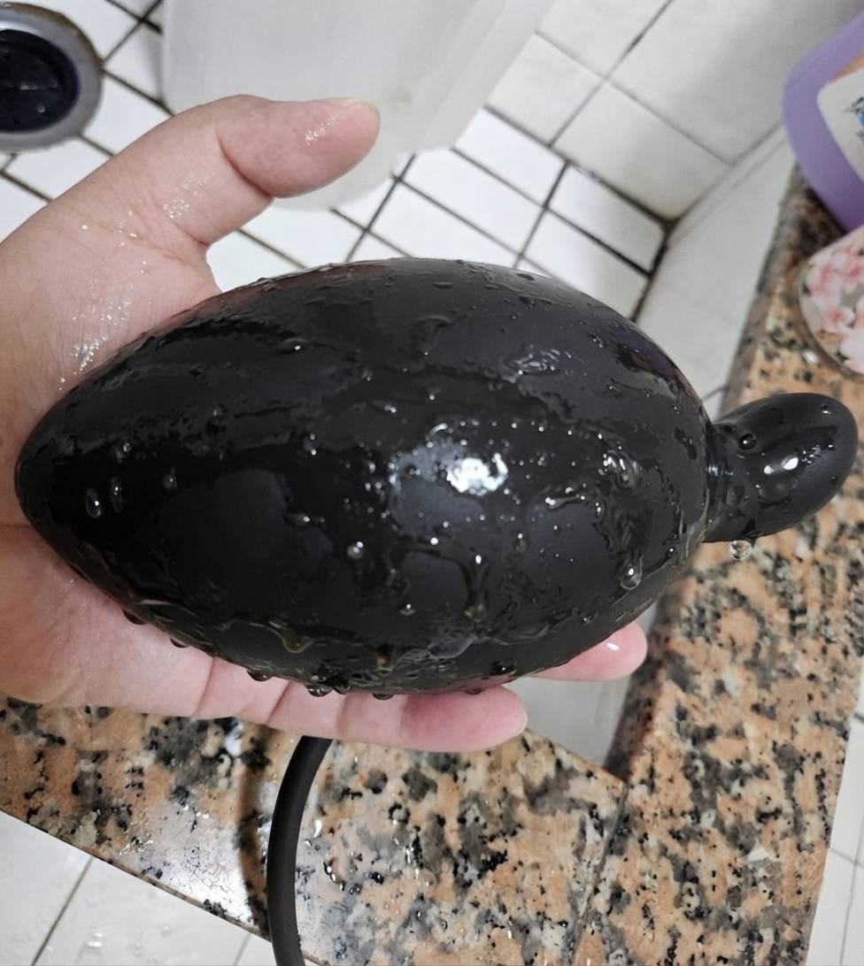 yanboju's tweet photo. 今天玩氣球，多虧老爺的懲罰教導，讓母狗跟氣球融為一體，找到樂趣了！謝謝老爺讓母狗今天好開心！嘻嘻！母狗好愛老爺！❤️❤️❤️ https://t.co/Y19uMchSjL