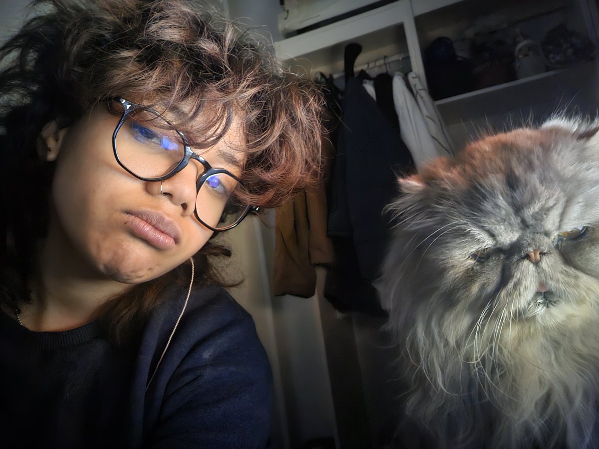 wertigoi's tweet photo. foto prefe con micio grigio https://t.co/zuuJVIukFc