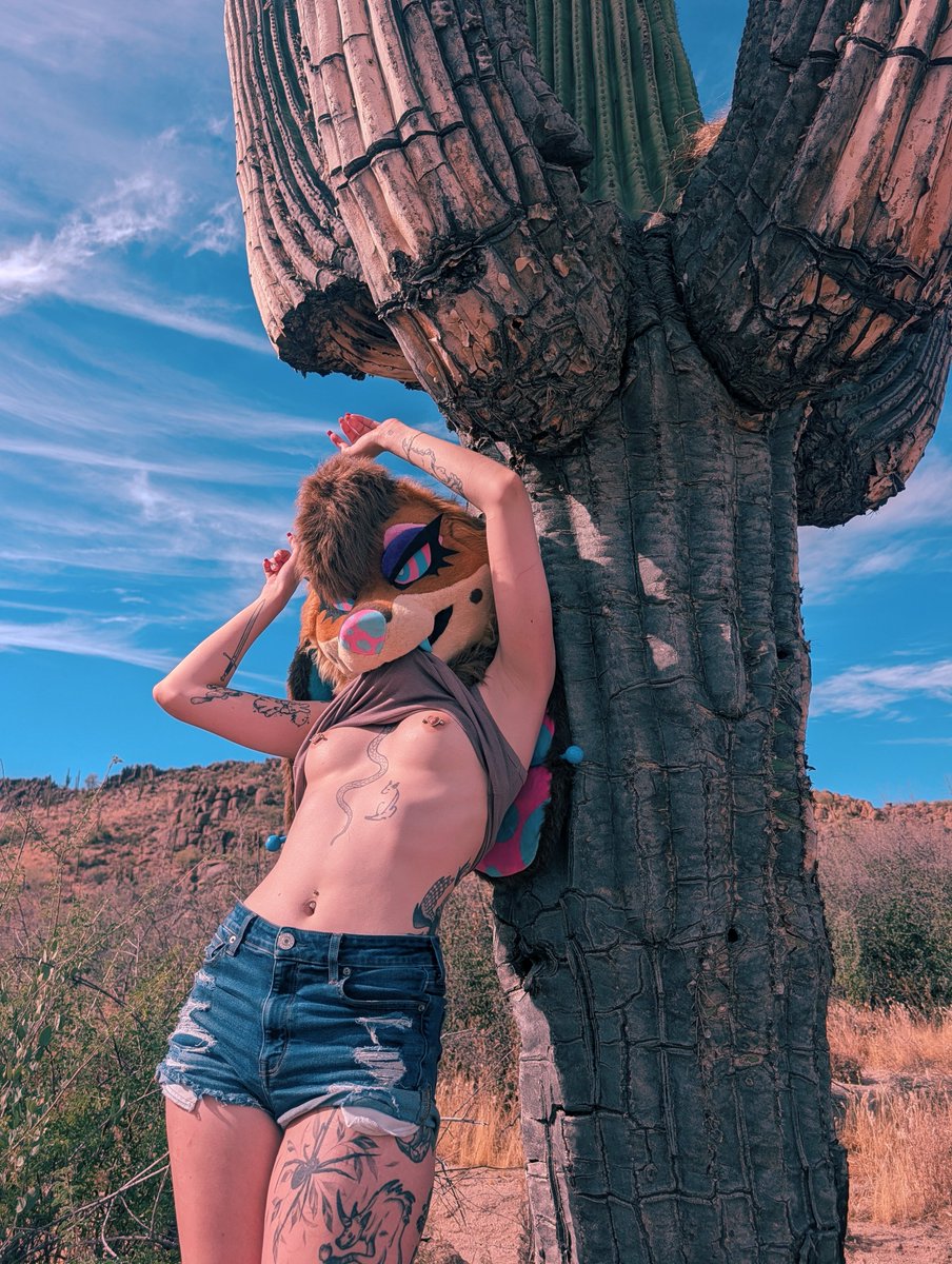 VCSDOG's tweet photo. are you gonna take me, right here right now? in the wild? 🫣🌵 https://t.co/NgfxVdRtH1