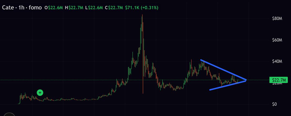 MoEthWhale's tweet photo. $CATE will break billions, why? because it naturally comes after @DOGE.

@CateonSol_ has one of the biggest bag workers, @PoorGoat_, who actually has integrity, onboarding normies, captaining the ship to send $CATE to billion.

70,000+ normie holders onboarded in 2 weeks (no airdrop).

Just had @a1lon9 & @Pumpfun shill PoorGoat's bull post on $CATE.

And PoorGoat will be featured as a guest in @blknoiz06 & @Banks' @MarketBubble podcast.

CA: Ai66LHZG9MCzg1WKdawwqduVAXpNDUuV8M3uyq5ppump