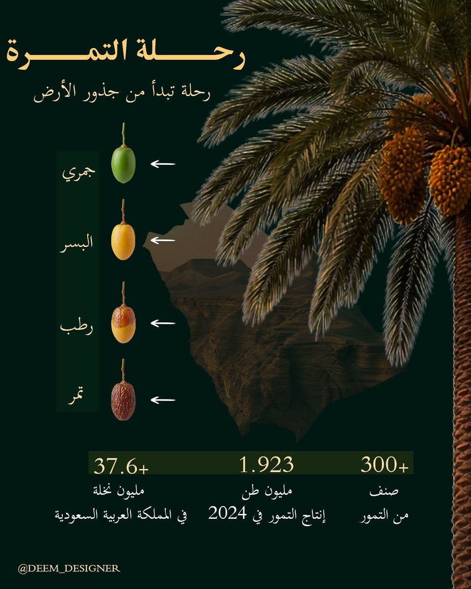 DEEM_DESIGNER's tweet photo. أول إنفوجرافيك من تصميمي! 🌴💚

اخترت موضوع "رحلة التمرة" بالتزامن مع #موسم_التمور لتسليط الضوء على هذه الثمرة العظيمة وأرقام إنتاجها المذهلة في المملكة.

#القصيم #الأحساء #الجوف #نقوة_عنيزة
#المملكة_العربية_السعودية #كرنفال_بريدة_الدولي_للتمور https://t.co/phYnvVxVaY