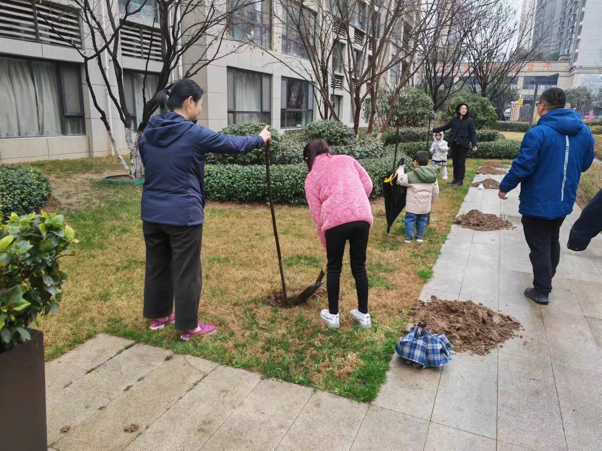 FreemanSunvl's tweet photo. Join our community garden workday this Saturday 9AM at Maple Park! Bring gardening gloves u0026 let’s spruce up the plots + plant veggies. All ages welcome! ， https://t.co/7p4ze7ODsn