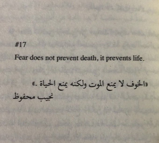 FEARGODMINDSET's tweet photo. https://t.co/fc1YngOSDs
