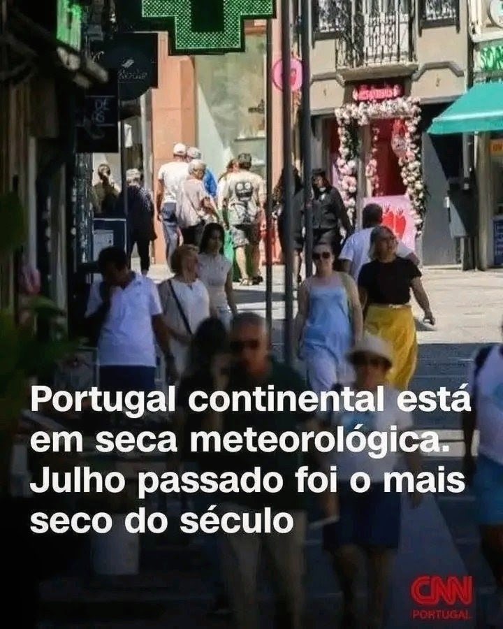 Peyto___'s tweet photo. Venho só dizer que não é tanto clarividência minha, é só que a programação é muito previsível. https://t.co/p87DU4aoys