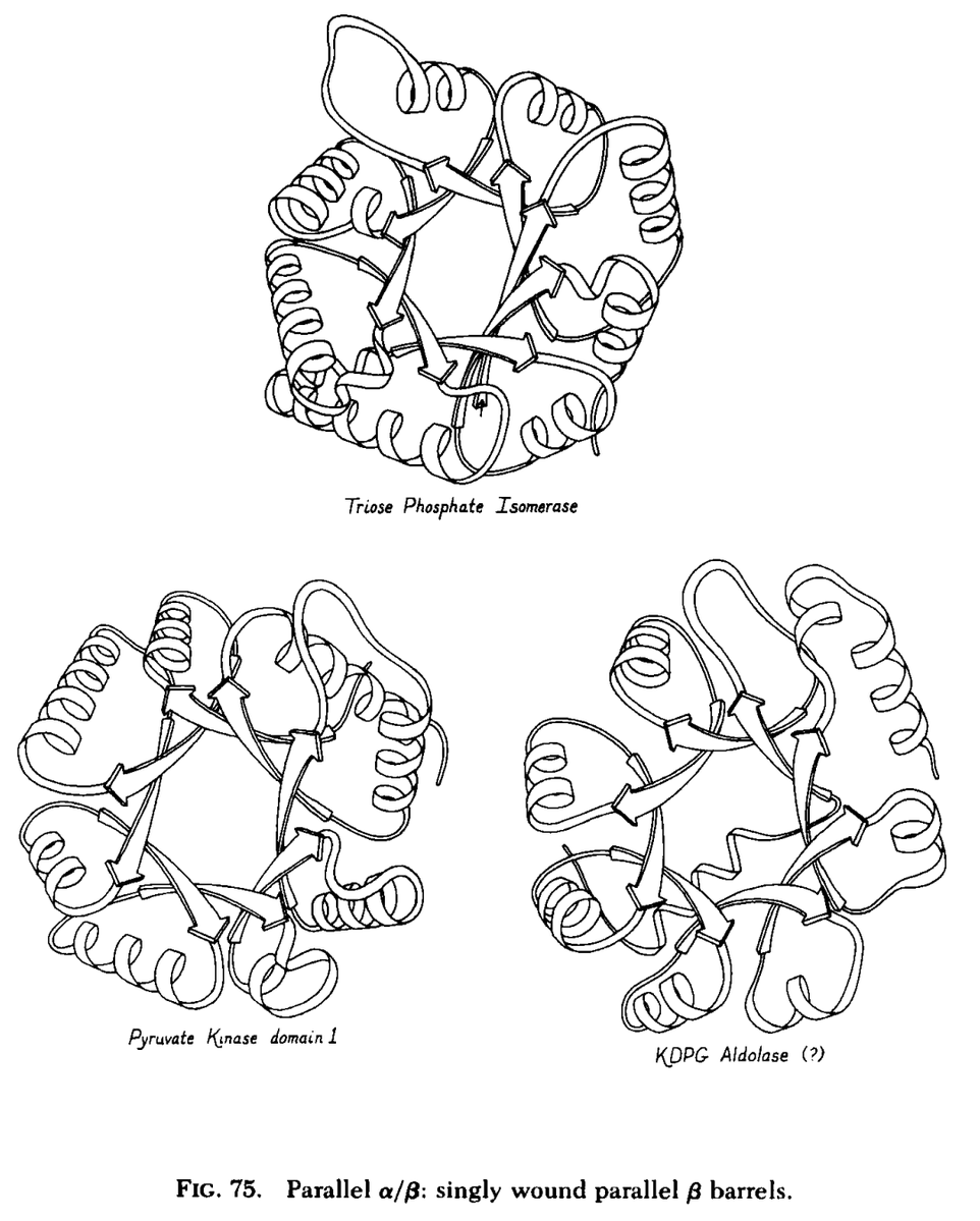 compchemm's tweet photo. Mother of the ribbon diagram 
One paper in 1981.
Changed how we see proteins.
If you haven’t read it, you’re late.
https://t.co/5OIR6riN3K
#compchem #phd https://t.co/bS9lu4kl21