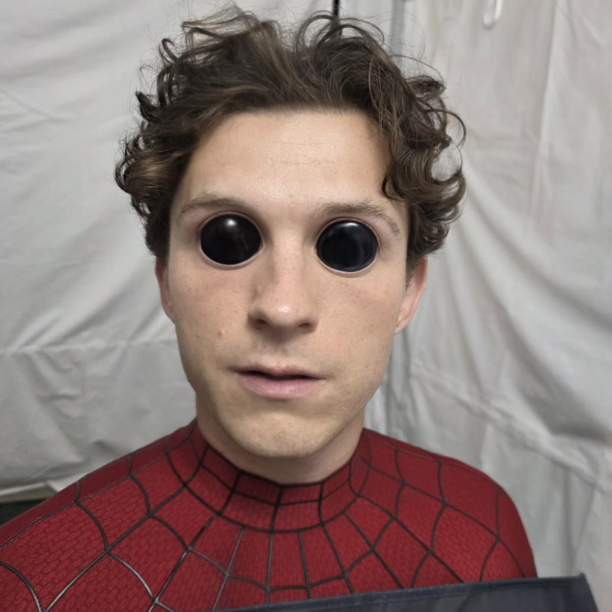 petloaches's tweet photo. Tom Holland when you shake a bag of 'Tom Holland Food' https://t.co/5MehwgSaWw