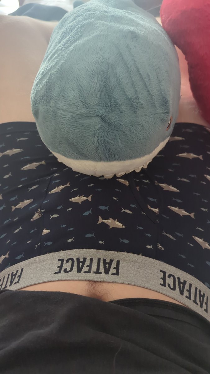 ORolltom's tweet photo. Sharks https://t.co/9eg78zd2M3