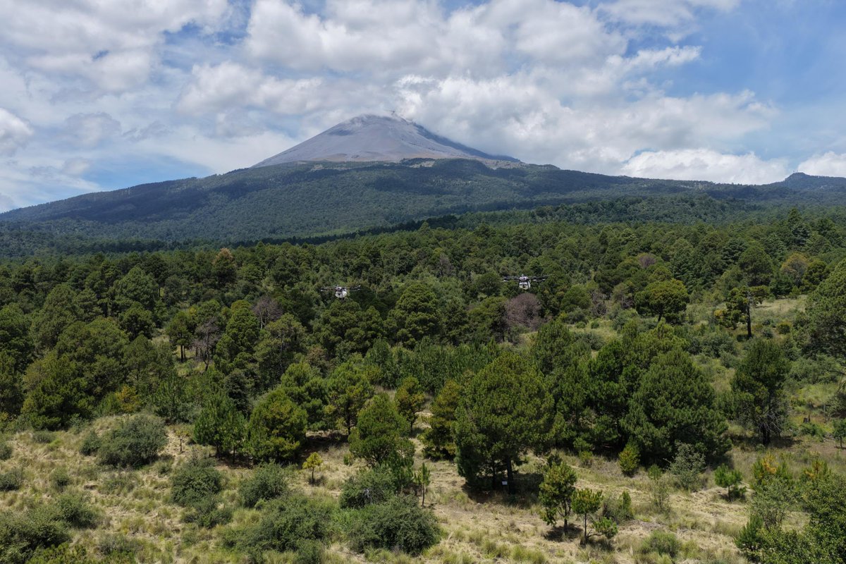 lopezdoriga's tweet photo. No es broma. La presidenta Claudia Sheinbaum propuso cambiar el nombre del "Paso de Cortés" por “Paso de los Pueblos Indígenas”.  ¿Qué opinan? https://t.co/fdMImvPbET https://t.co/EKZHYdA5Ic