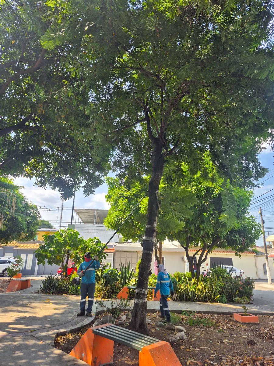 parquesgye's tweet photo. Seguimos trabajando de manera permanente en varios sectores de la ciudad, ejecutando labores de mantenimiento y recuperación de espacios públicos para el bienestar de todos.
#AsiSeHaceGuayaquil #AquiEstamos #GuayaquilNoSeDetiene #CiudadDeTodos
@alcaldiagye @taticoronelf https://t.co/yiRzOkFxXl