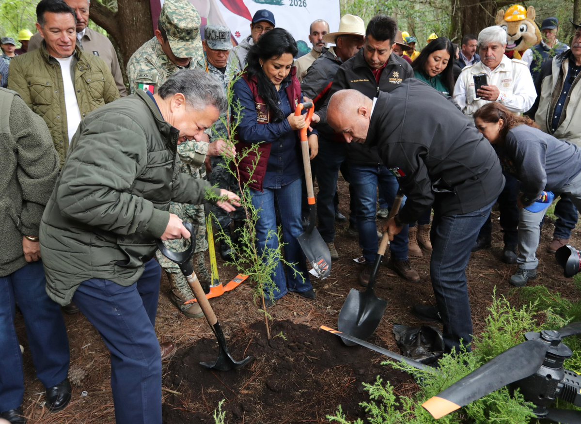 SICTmx's tweet photo. La Presidenta @ClaudiaShein encabezó la #JornadaNacionaldeReforestación desde San Nicolás de los Ranchos, Puebla. 🌿🌲🌳
El secretario de Infraestructura, Comunicaciones y Transportes, Jesús Esteva, participó con el gobernador @JulioMenchaca_ en esta estrategia nacional desde el Parque Nacional “El Chico” en Hidalgo. 🌳
En esta jornada se plantaron 6.6 millones de árboles en 621 municipios de  32 estados de la República, y participarán 235 mil 97 personas.🌳🌱🍄‍🟫