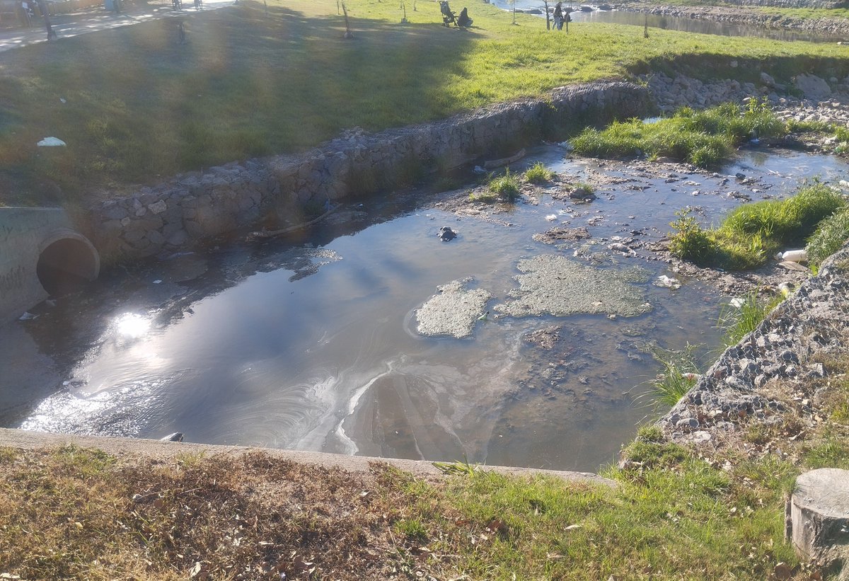 frascaroli's tweet photo. 3 cosas simples y corrientes q ni siquiera puede hacer bien el gob d Passerini-Llaryora.
Líquidos efluentes crudos al río Suquia en la Isla d los Patos.
Ya no hay ninguno d los servicios d Wifi municipal ni provincial.
Sacar grandes árboles p/ poner piquillines es mal ecologismo. https://t.co/rLzlOWtXfy