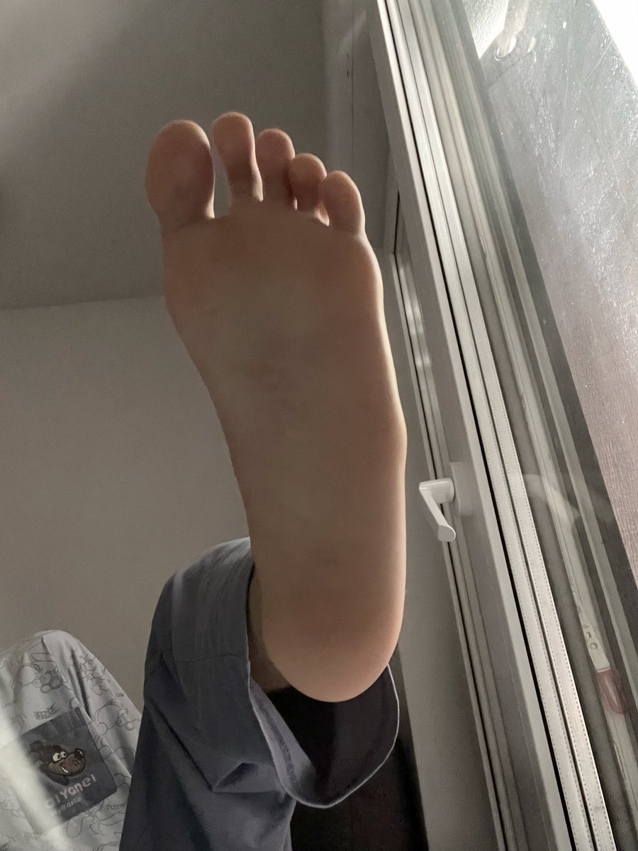 Honest_FRY's tweet photo. https://t.co/P5csbXYN7k