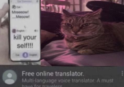 imyorubtw's tweet photo. Free online xtreme translator https://t.co/2AtCBxl1k1