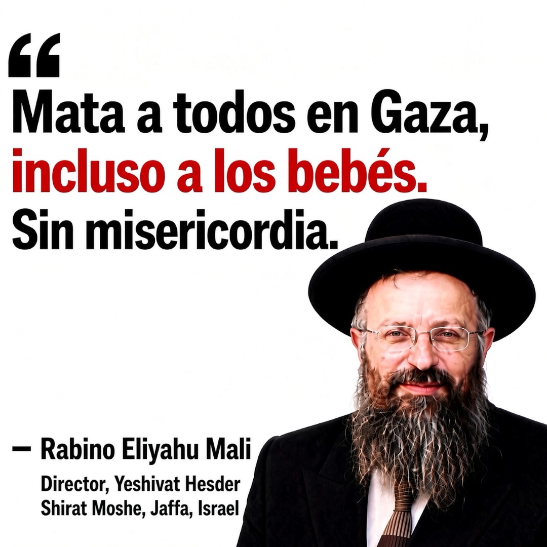 EniorJimenez's tweet photo. "La ley judía exige no dejar con vida a ninguna alma en Gaza, incluidos los bebés".

~ Rabino Eliyahu Mali. 

Director del hesder yeshivá Shirat Moshe en Jaffa, Israel: programa de entrenamiento que combina los estudios talmúdicos avanzados con el servicio militar en las Fuerzas de Defensa de Israel (FDI).

Estos valores son incompatibles con Occidente.
Estos valores son totalmente contrarios a la Cristiandad.
No existe tal cosa como el «judeocristianismo»: todo lo contrario, estos que se quedaron en la edad de hierro y usan el Antiguo Testamento para justificar la guerra, el robo, y el genocidio, son precisamente los principales enemigos de Cristo, de su Iglesia, y de toda la humanidad: anticristos.