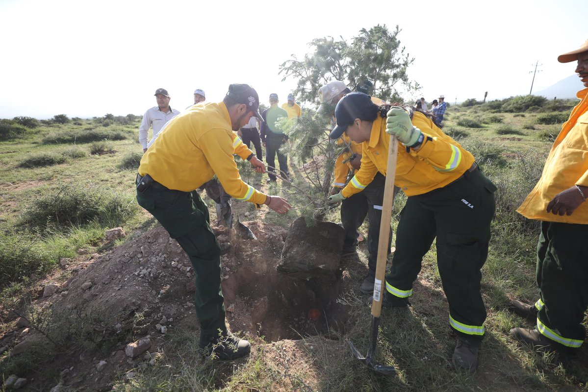 manolojim's tweet photo. En equipo, los tres órdenes de gobierno, seguimos trabajando para proteger nuestros bosques y recursos naturales, y así juntos construir un Coahuila más sustentable para las próximas generaciones. 🤠🌎🌲 #CoahuilaPaDelante #APasosDeGigante (2/2) https://t.co/rSRxdJP7ft