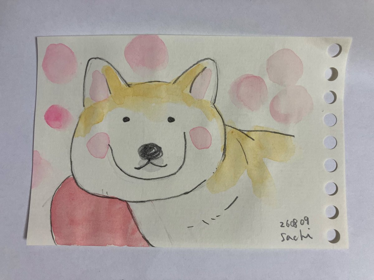 mukushiba's tweet photo. いいたるみ〜ぬ
#柴犬 https://t.co/frmnLgYYm1