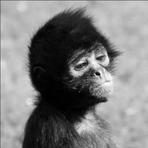 Baba_tee0101's tweet photo. I remember those days when my only  problem was how to watch the new seasons of teen wolf and Henry danger 😂💔 https://t.co/djJDI8RYjX