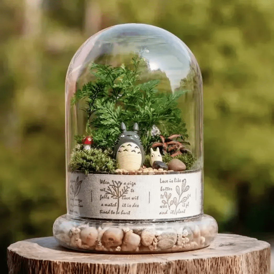 CamillaSebvhmf's tweet photo. Turned an old mason jar into a mini succulent planter with just some gravel and soil! Small upgrade, big joy for my desk.， https://t.co/qTsSF6UA4O