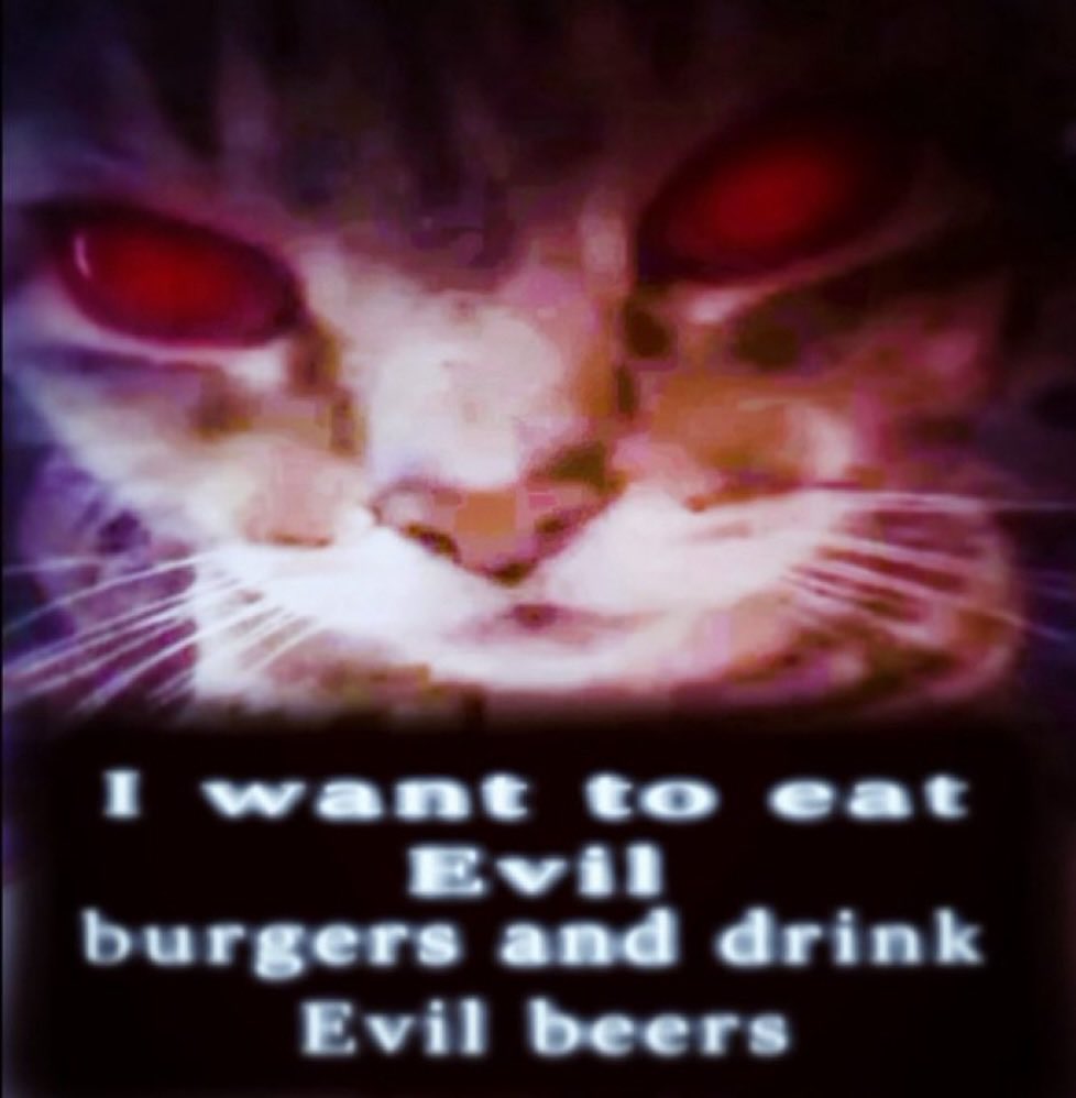 literallymecats's tweet photo. https://t.co/1impiEI0aw