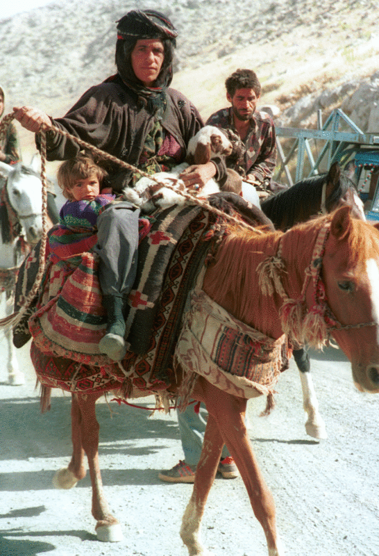 Robinthekurd's tweet photo. Nomadic Kurds from Khorasan. https://t.co/VpTIvc1Xr0