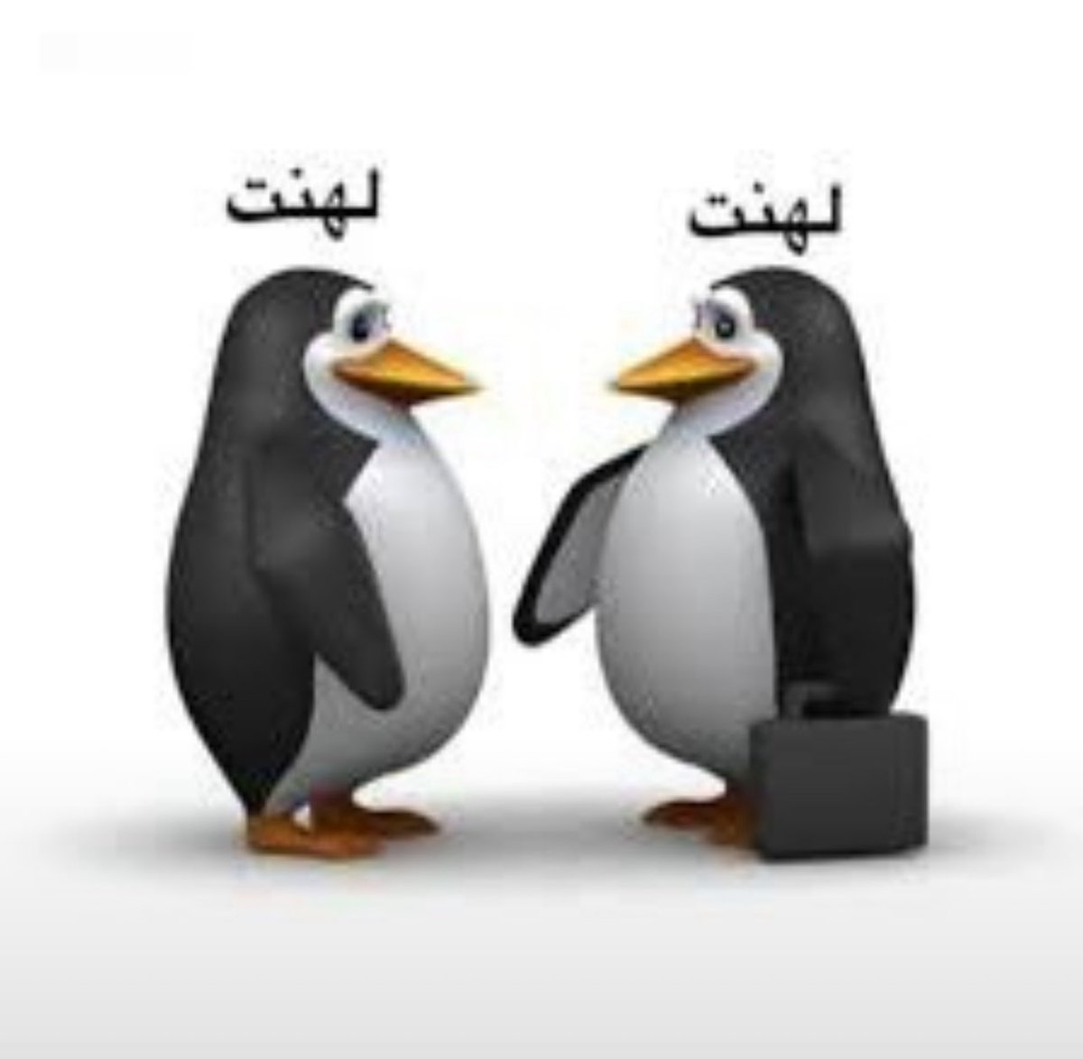 Nawar_10N's tweet photo. وضع إدريس و حازم اليوم :

فاقد ذاكره يحاول يذكر فاقد ذاكره 😂😂😂🔥 https://t.co/pnCQOuoscS