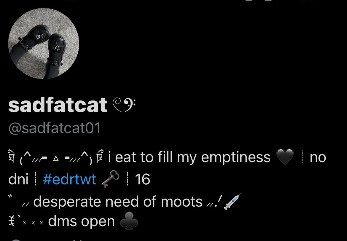 sadfatcat01's tweet photo. new layout feeling cute https://t.co/VtENNsdR6H