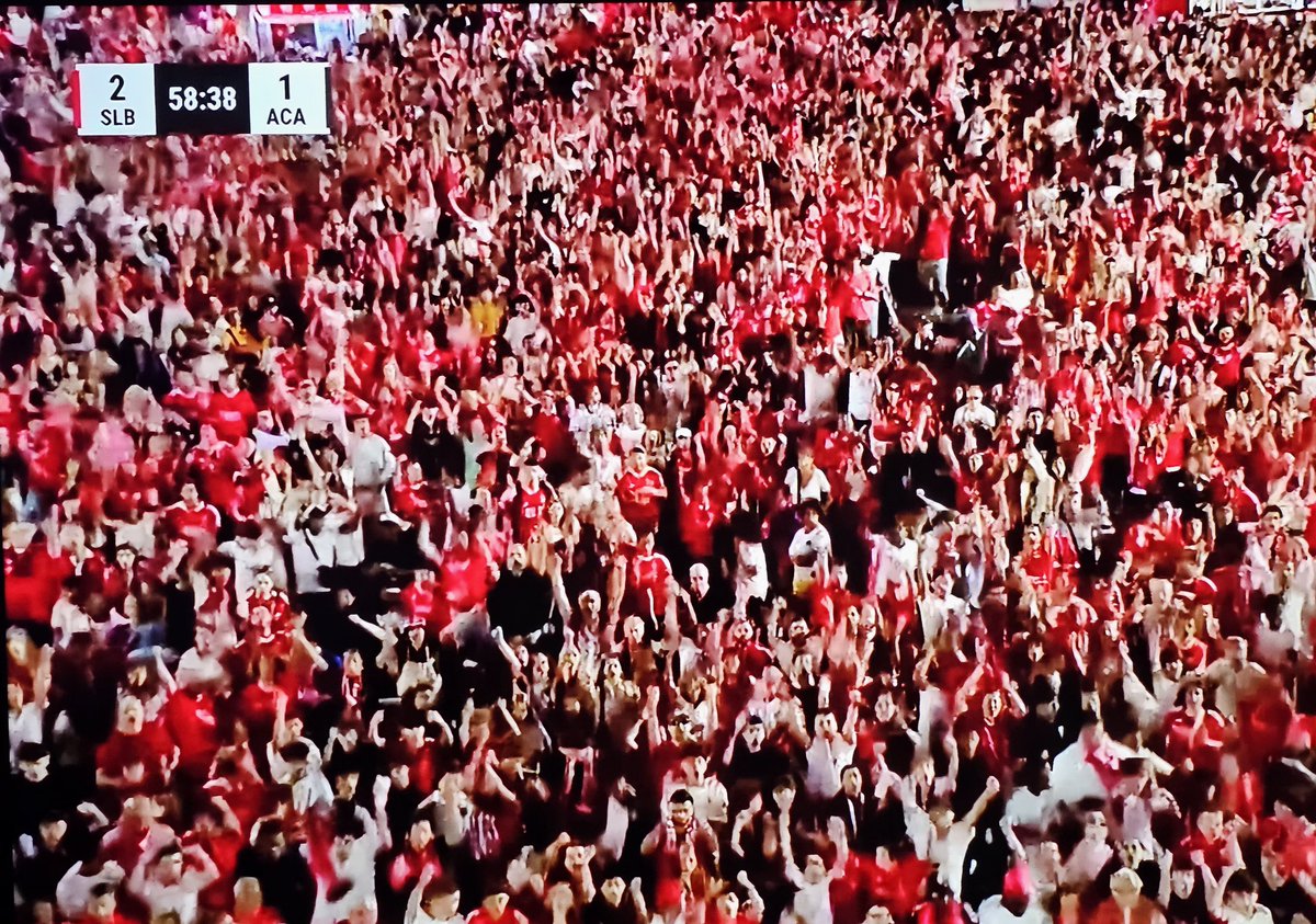 Blue_Footy's tweet photo. Benfica is serving stadium ban, but the fans still gathered in thousands to watch on big screen outside the Stadium. 

Crazy! https://t.co/FJ3aFJFPiG
