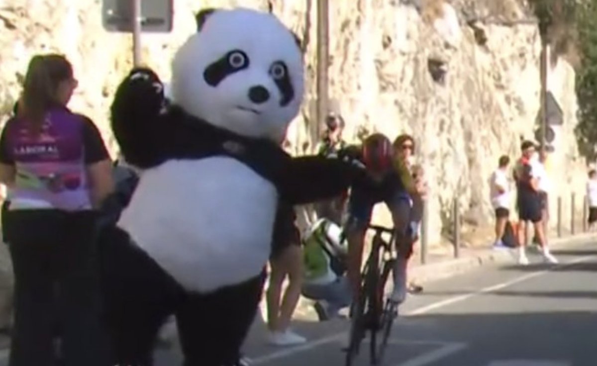 BenjiNaesen's tweet photo. I will never understand cycling "fans" who go to cycling races, not to watch the riders, but to be on camera doing stupid shit, not even looking at the riders, in so doing, endangering riders in the process. #TDFF2026 https://t.co/C4Nr0fHp3q