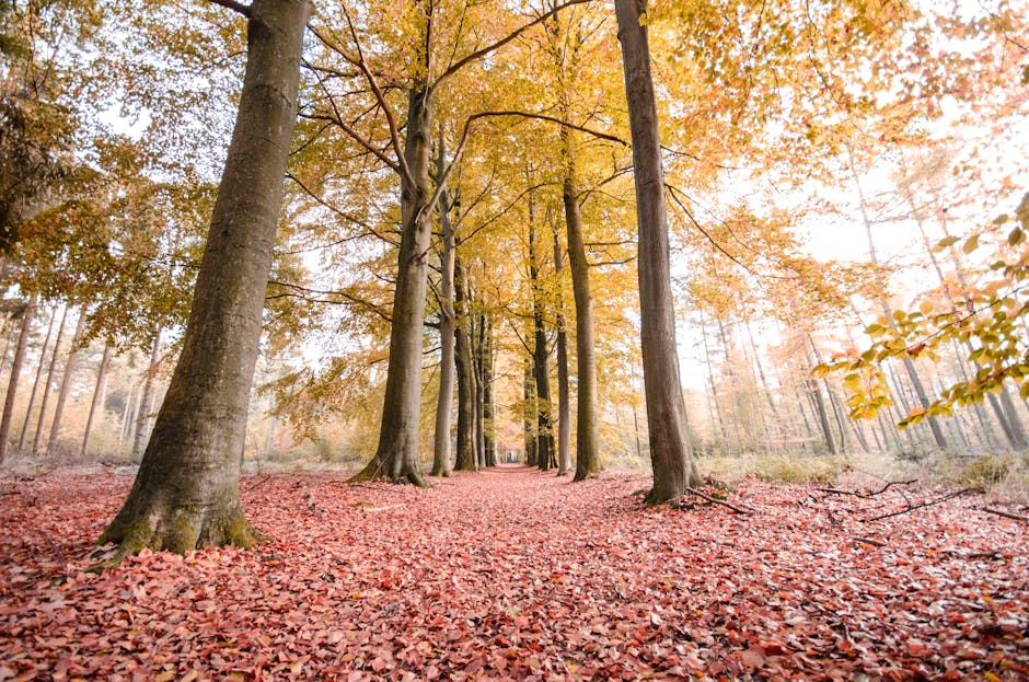 LidiaLabruybr's tweet photo. هو مصدر القوة. شكرا صديقي. التعبير دعمك يا يمكنني عن مدى شاكري لمشاركتك. maurice baggette🦆 https://t.co/aoCeIOd3Lj