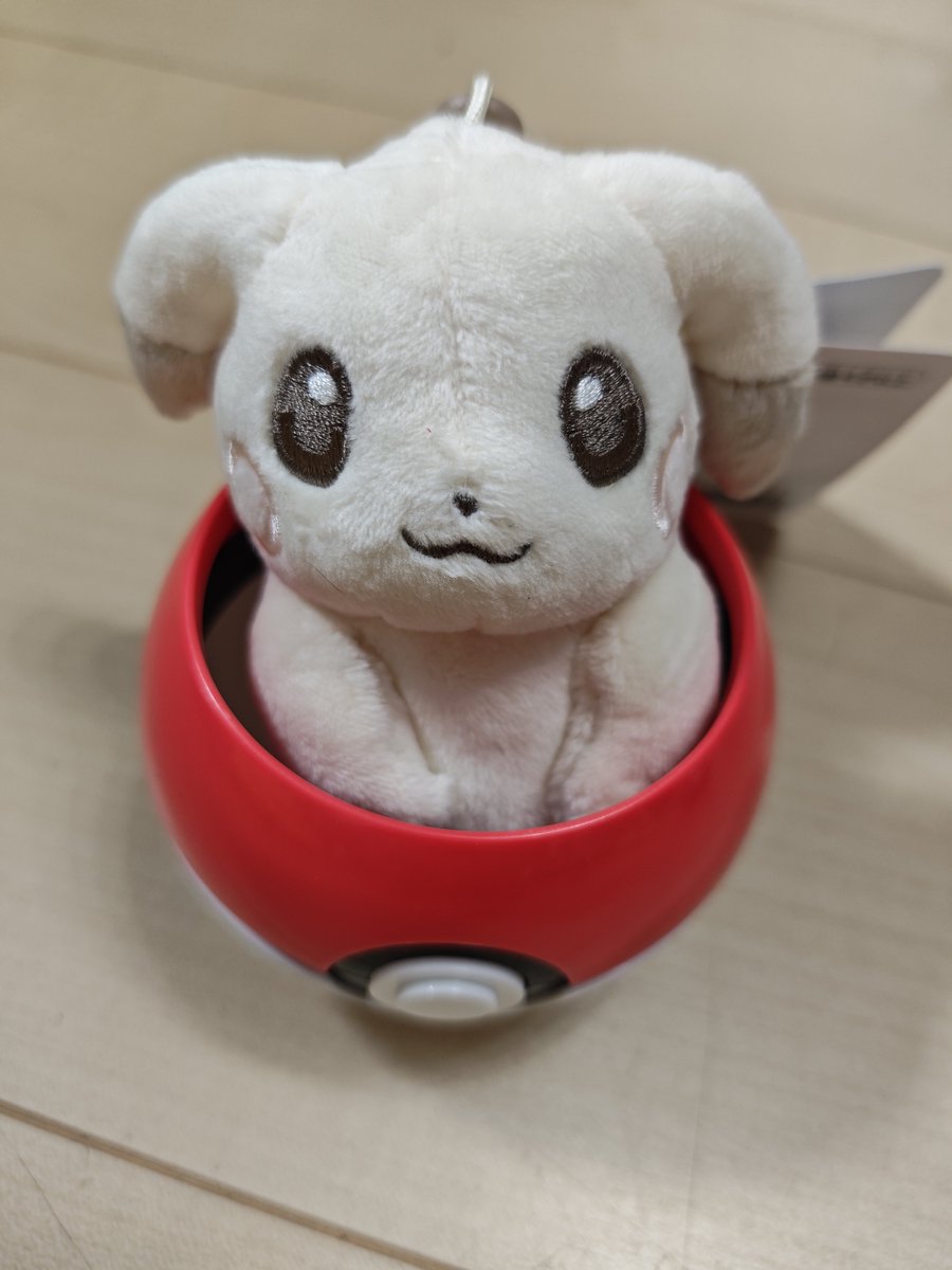 osashimi0708's tweet photo. あとはアベイルと31ポケモン♡
モンボカップうすチュウちゃんぴったりでかわいい🫶
fitマリルリは押し込んだ笑 https://t.co/qGBmleVynV