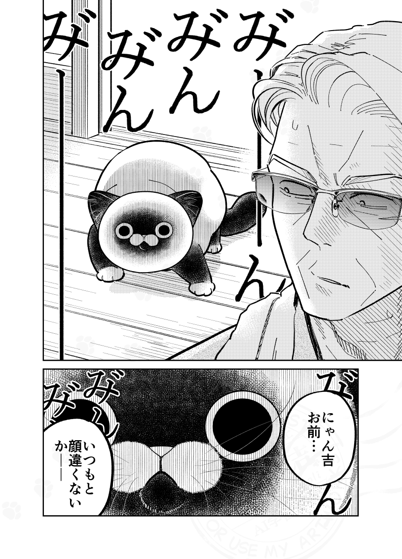 kata_yoli's tweet photo. 野良猫の目の色がいつもと違う

（０／３） https://t.co/EWrdskadTr