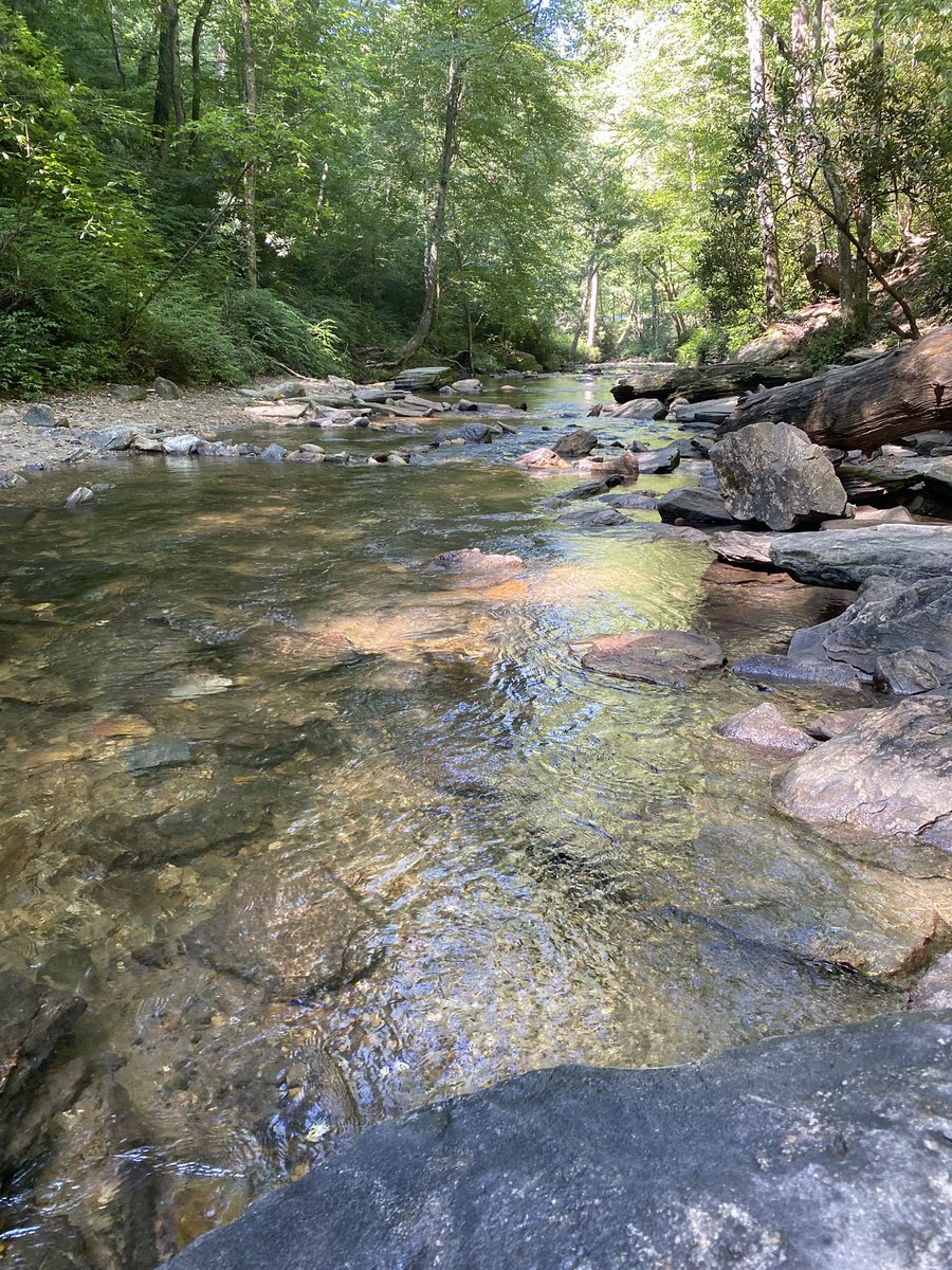 asterick___'s tweet photo. Visited the mountains again https://t.co/zTYZ5DZgHi