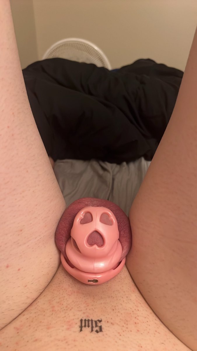 Samisamachan's tweet photo. New cage what do you think💖 https://t.co/t4Nzy7LZsB