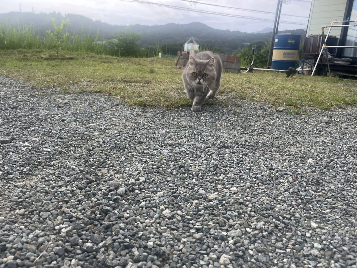 ihdpta's tweet photo. 主が動いた https://t.co/7ikwcPfXic